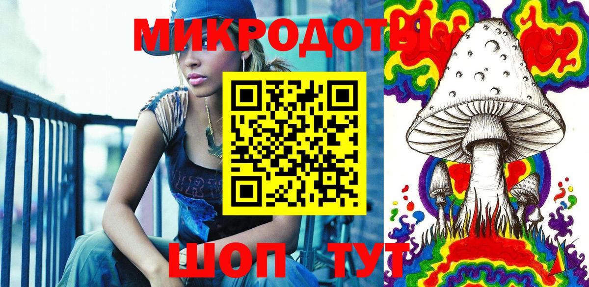 Псилоцибиновые грибы Psilocybine cubensis Магадан